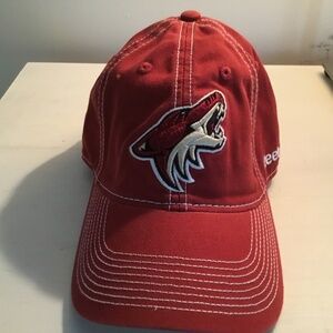 Mens Phoenix Coyotes hat
